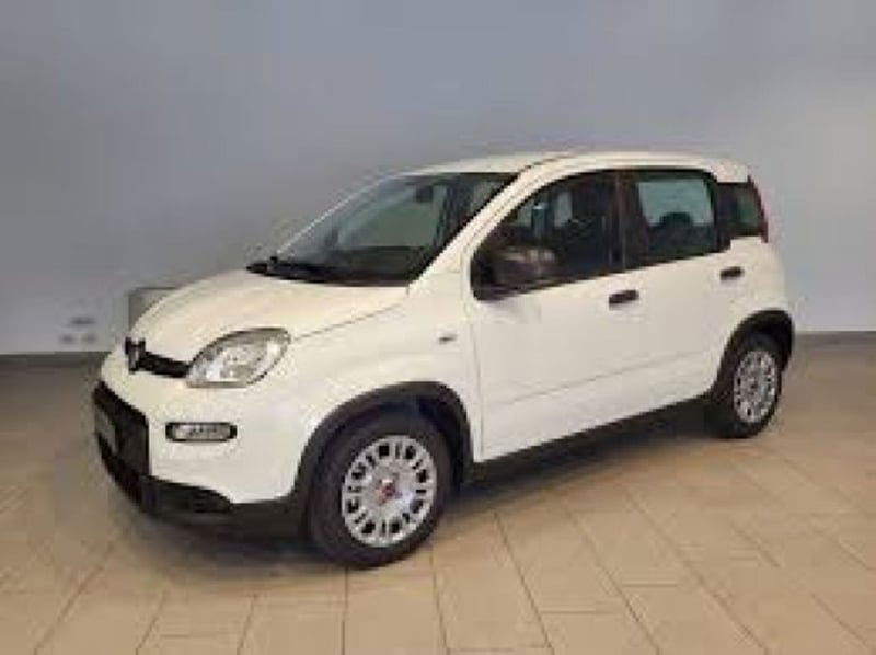 Fiat Panda 1.0 firefly hybrid s&s 70cv 5p.ti