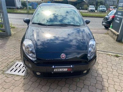 Fiat Punto 1.2 8V 5 porte Street 