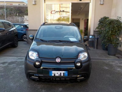 Fiat Pandina 1.0 firefly hybrid s&s 65cv (2)