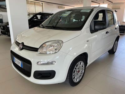 Fiat Panda 1.2 Easy  usata