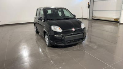 Fiat Panda 1.0 firefly hybrid s&s 70cv 5p.ti nuova