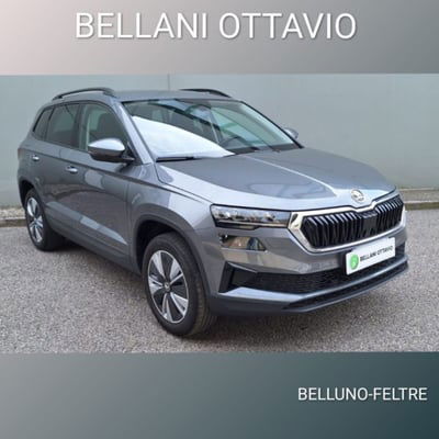 Skoda Karoq 1.0 TSI 110 CV Executive usata