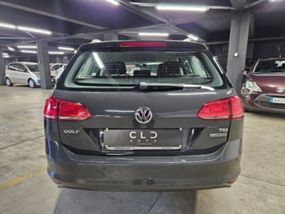 Volkswagen Golf Variant 1.4 TGI Trendline BlueMotion (6)