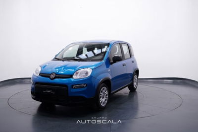 Fiat Panda 1.0 firefly hybrid s&s 70cv 5p.ti nuova