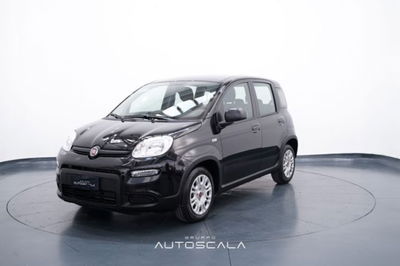 Fiat Panda 1.0 firefly hybrid s&s 70cv nuova