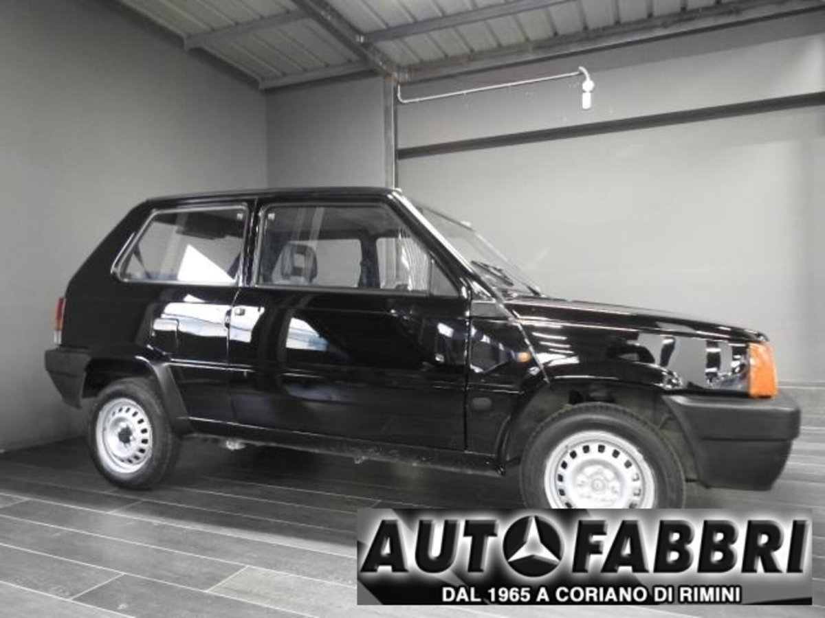 Fiat Panda 1100 i.e. cat Young