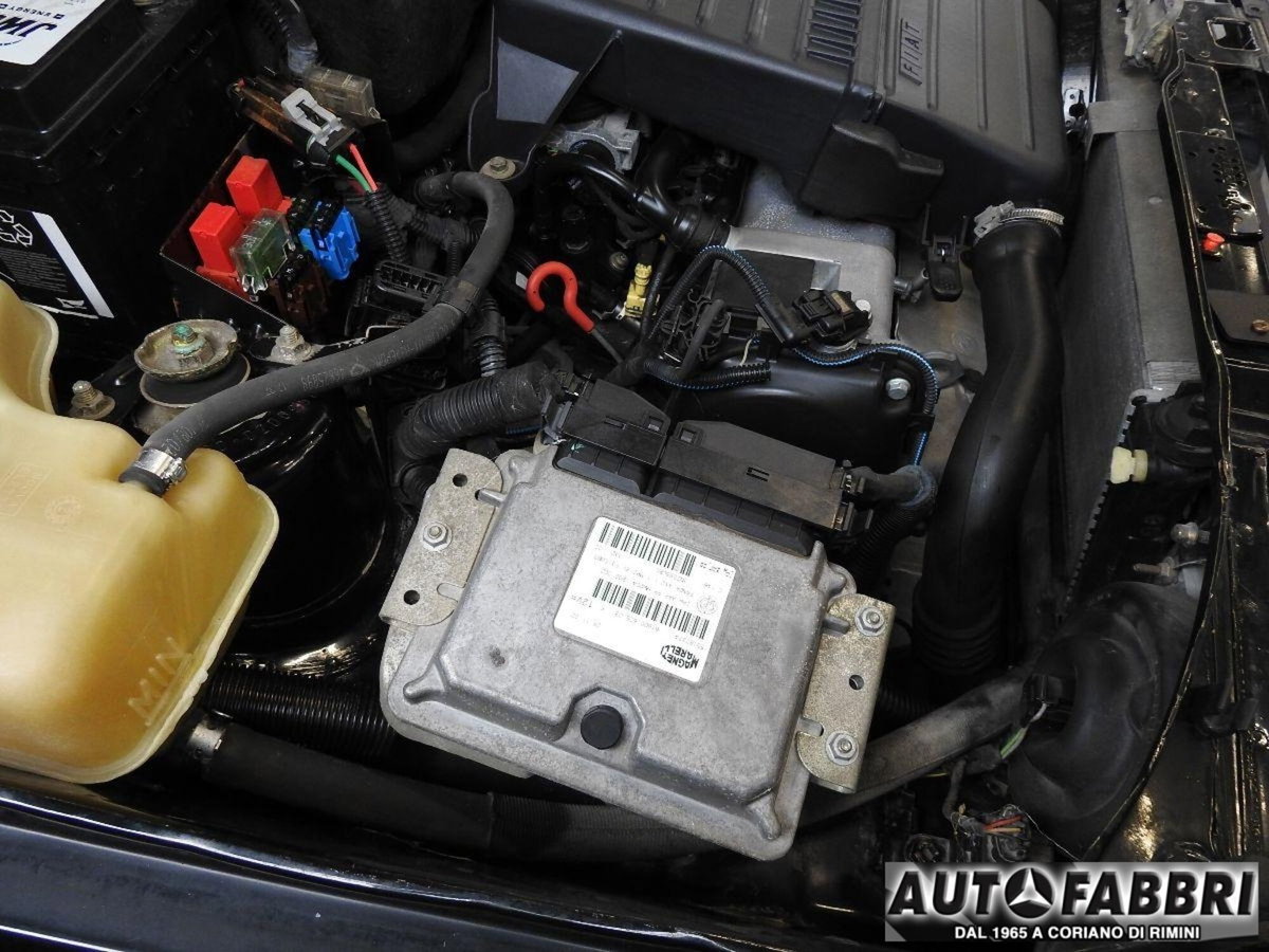 Fiat Panda 1100 i.e. cat Young (10)