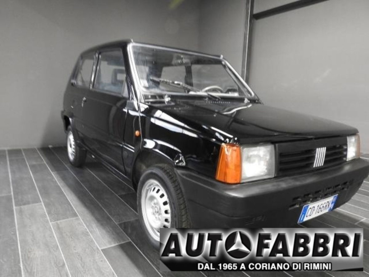 Fiat Panda 1100 i.e. cat Young (2)