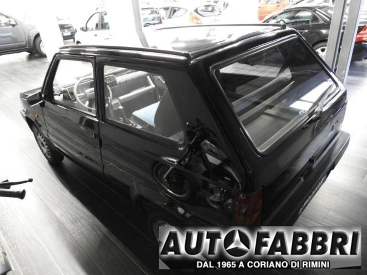 Fiat Panda 1100 i.e. cat Young (3)