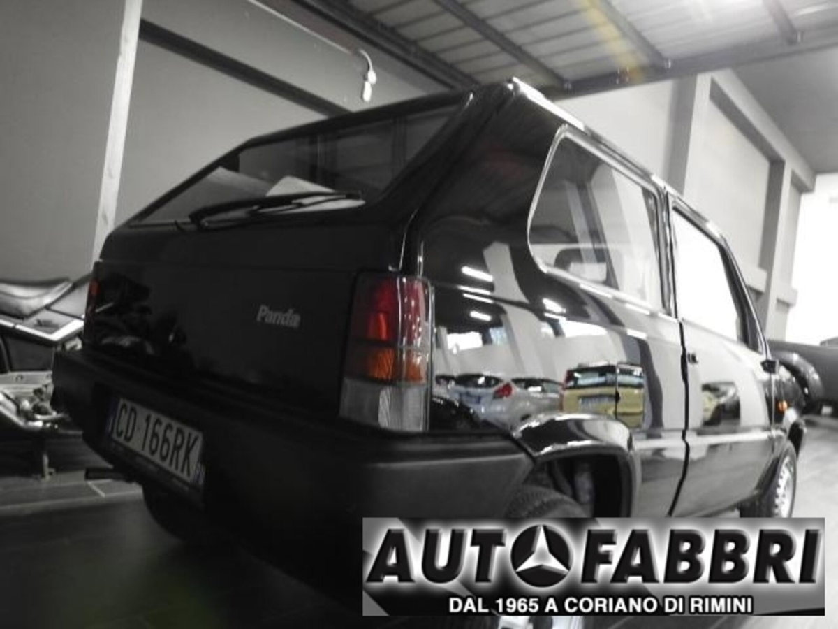 Fiat Panda 1100 i.e. cat Young (6)