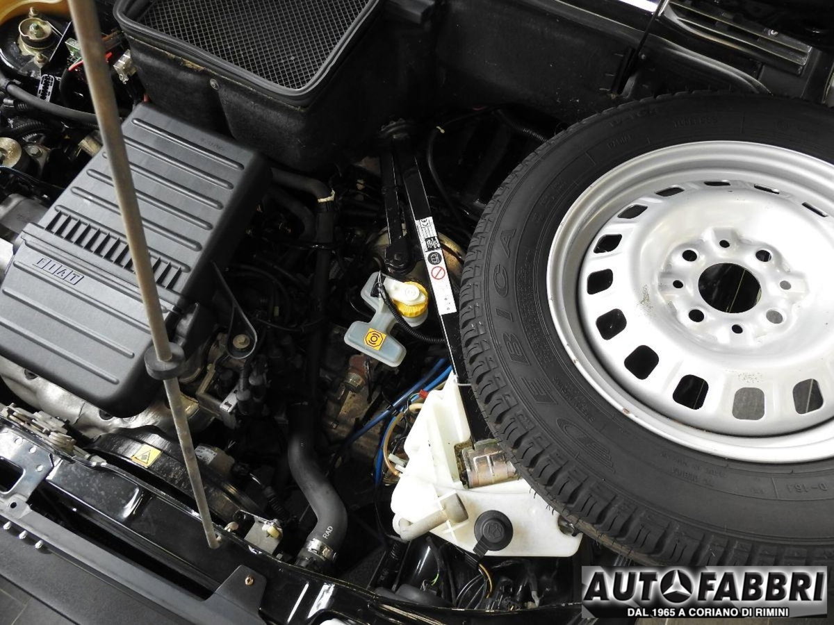 Fiat Panda 1100 i.e. cat Young (9)