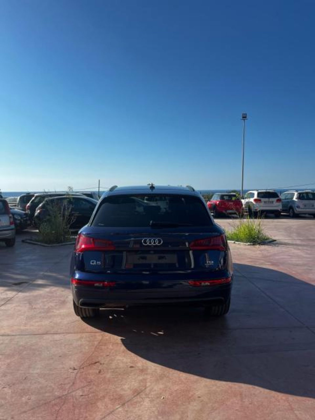 Audi Q5 2.0 TDI 190 CV S tronic (2)