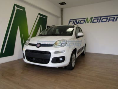 Fiat Panda 1.2 Lounge usata