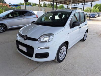 Fiat Panda 1.0 firefly hybrid s&s 70cv 5p.ti usata