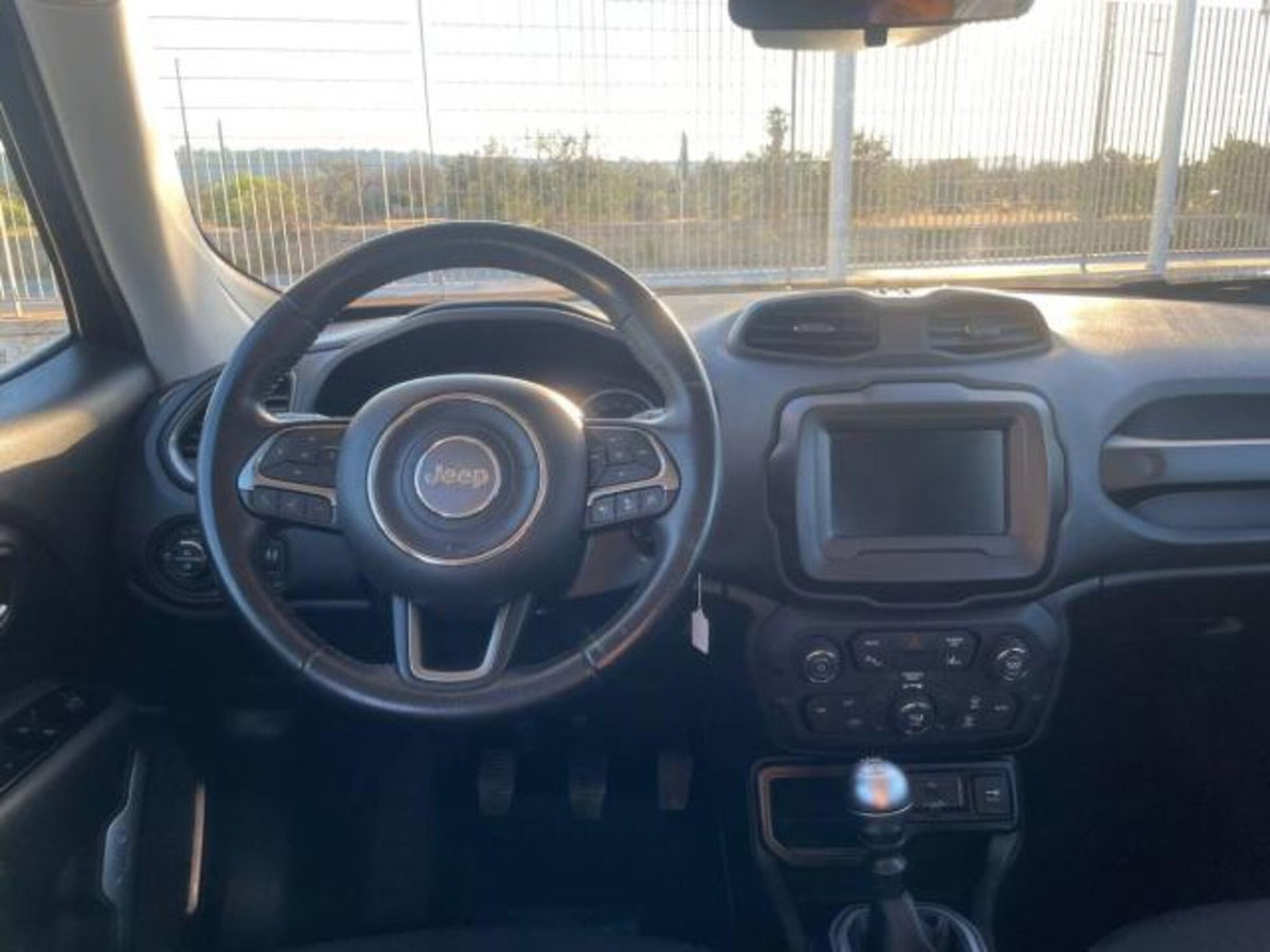 Jeep Renegade 1.6 Mjt DDCT 120 CV Business (9)
