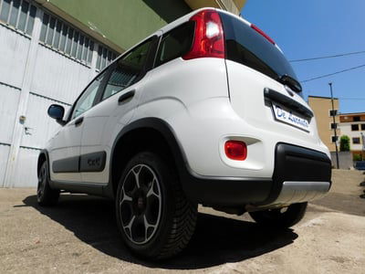Fiat Panda 0.9 TwinAir Turbo S&S 4x4 Wild usata
