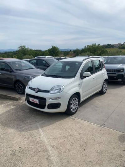 Fiat Panda 1.2 EasyPower Easy usata