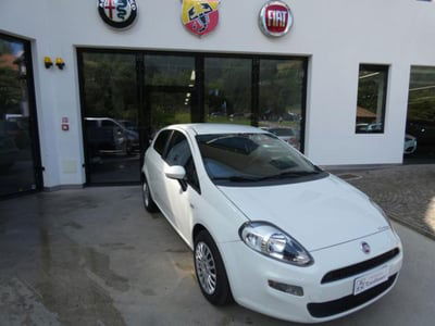 Fiat Punto 1.3 MJT 75CV 3 porte Van Easy 4 posti usata