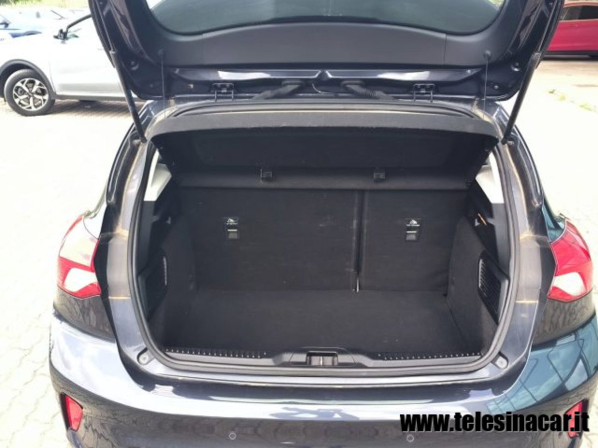 Ford Focus 1.0 EcoBoost 125 CV automatico 5p. Business (19)