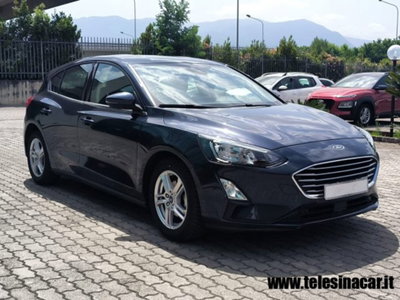 Ford Focus 1.0 EcoBoost 125 CV automatico 5p. Business (4)