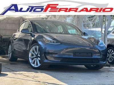 Tesla Model 3 Model 3 Standard RWD Plus  usata