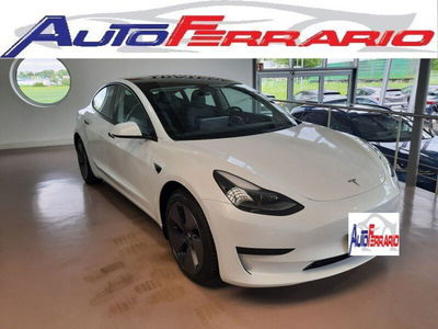 Tesla Model 3 Model 3 RWD usata