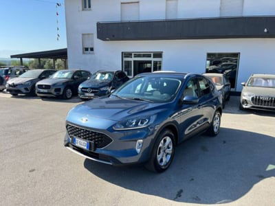 Ford Kuga 1.5 EcoBlue 120 CV 2WD Titanium usata