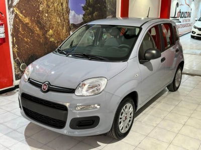Fiat Panda 1.2 Easy  usata