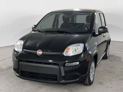 Fiat Panda Cross Cross 1.0 FireFly S&S Hybrid  nuova