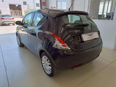 Lancia Ypsilon 1.3 MJT 16V 95 CV 5 porte S&S Platinum (6)