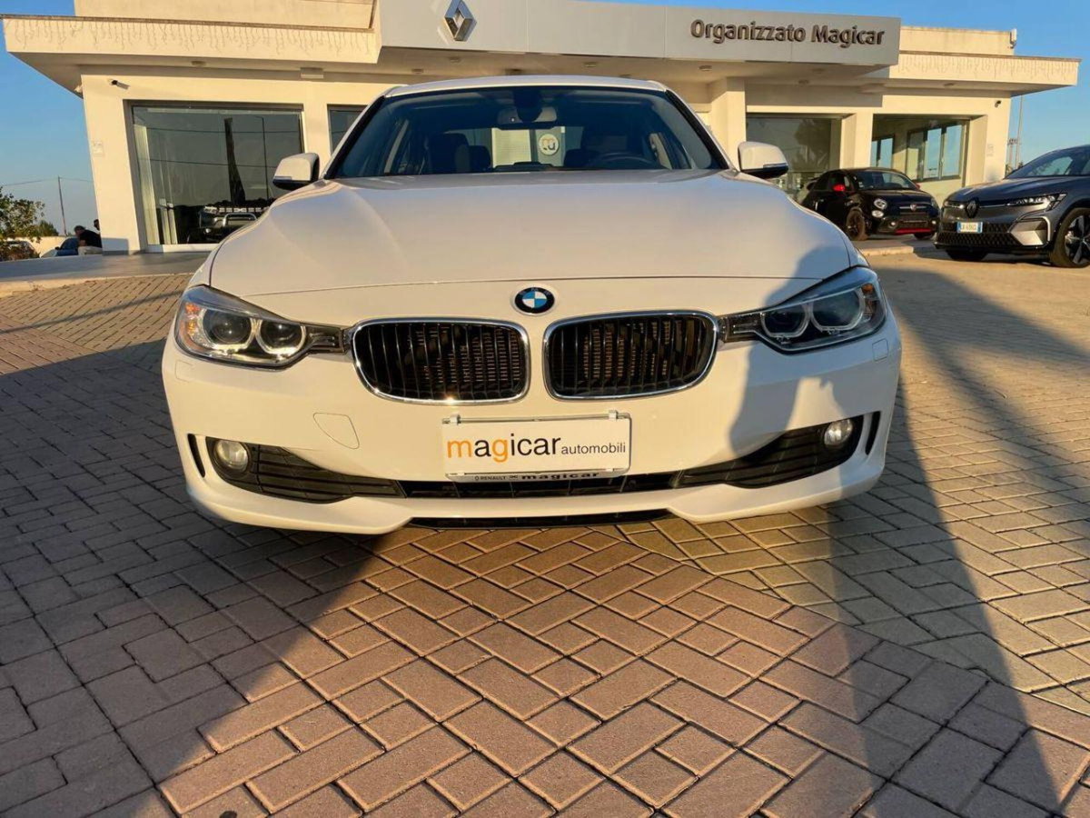 BMW Serie 3 316d cat (2)
