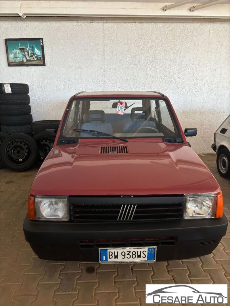 Fiat Panda 1100 i.e. cat Young