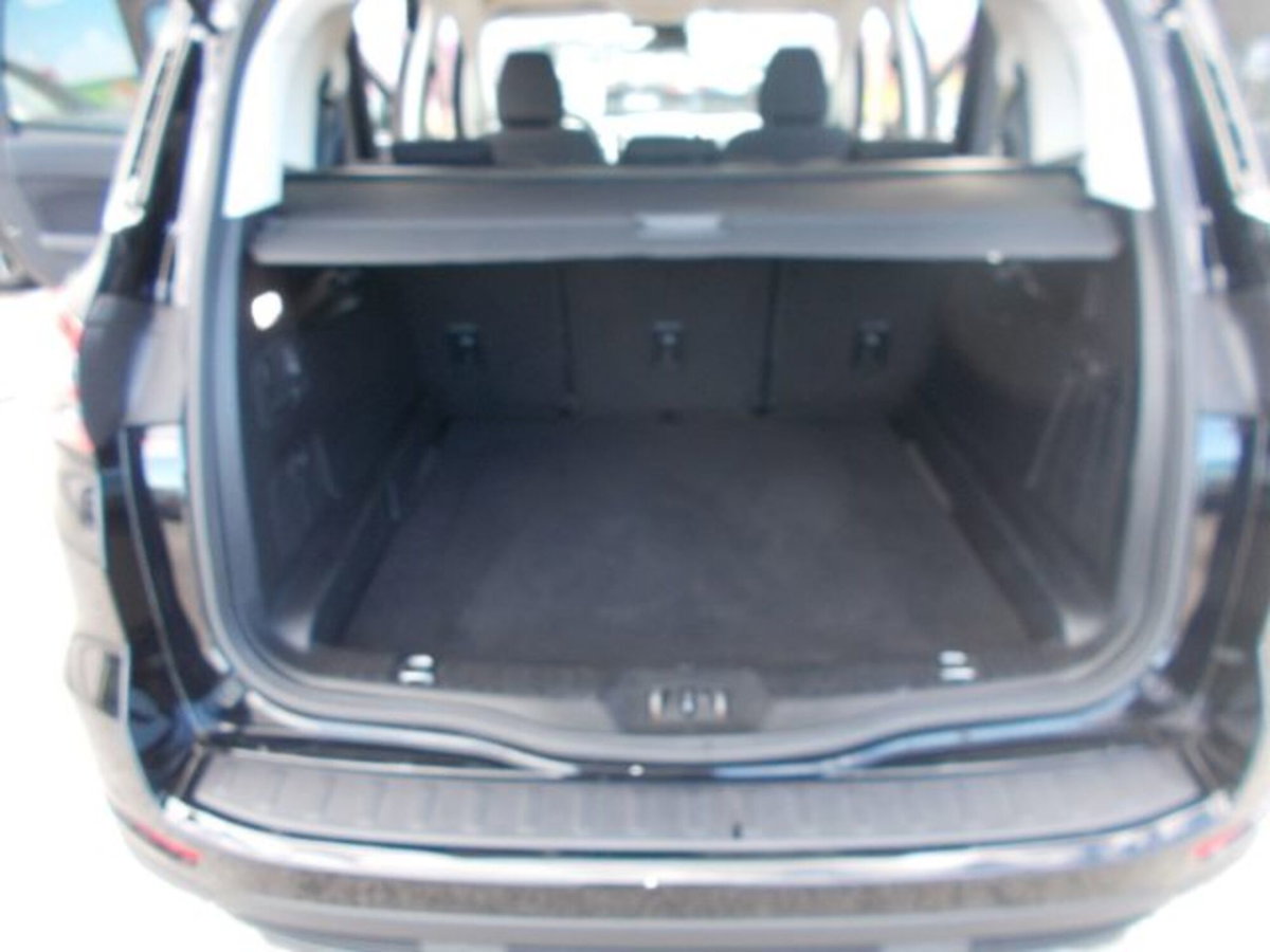Ford S-Max 2.0 EcoBlue 150CV Start&Stop Aut. Titanium Business (19)