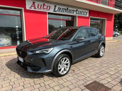 Cupra Formentor Formentor 2.0 tdi 4drive 150cv dsg usata