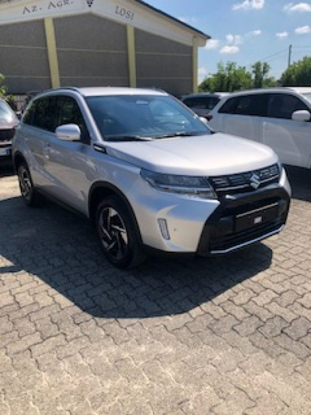 Suzuki Vitara 1.4h Top 2wd 110cv (3)