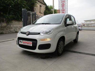 Fiat Panda 1.2 Lounge  usata