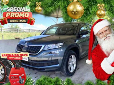 Skoda Kodiaq 1.4 TSI Active usata