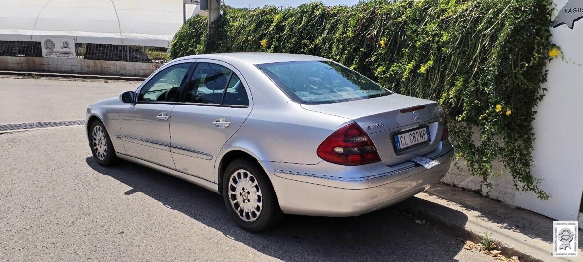 Mercedes-Benz Classe E 220 CDI cat Elegance (4)