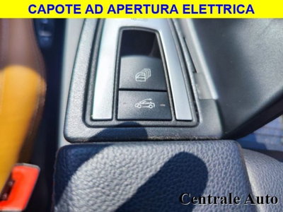 Mercedes-Benz Classe E Cabrio 350 CDI Cabrio BlueEFFICIENCY Avantgarde (17)