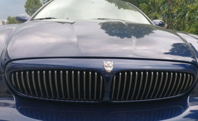 Jaguar X-Type 3.0 V6 24V cat Sport (8)