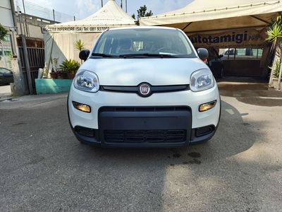 Fiat Panda Cross Cross 1.0 FireFly S&S Hybrid  nuova