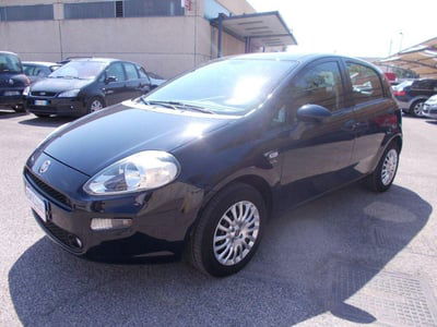 Fiat Punto 1.2 8V 5 porte Street usata