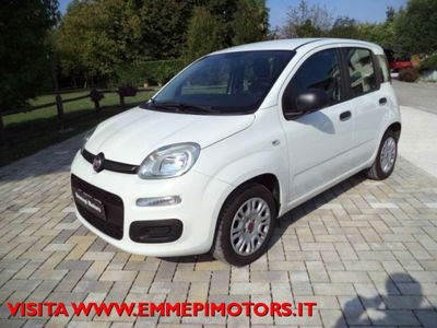 Fiat Panda 1.2 Easy  usata