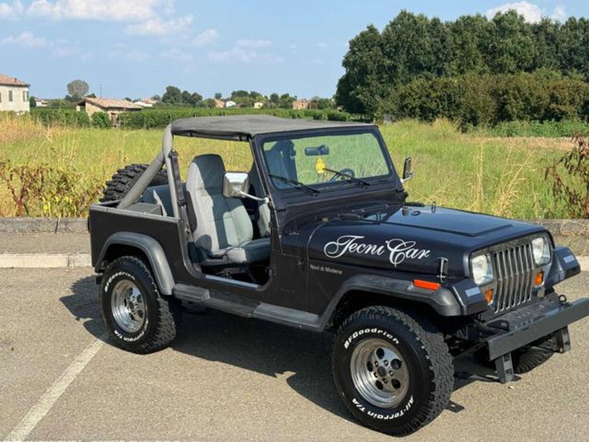 Jeep Wrangler 4.0 cat Connection (11)