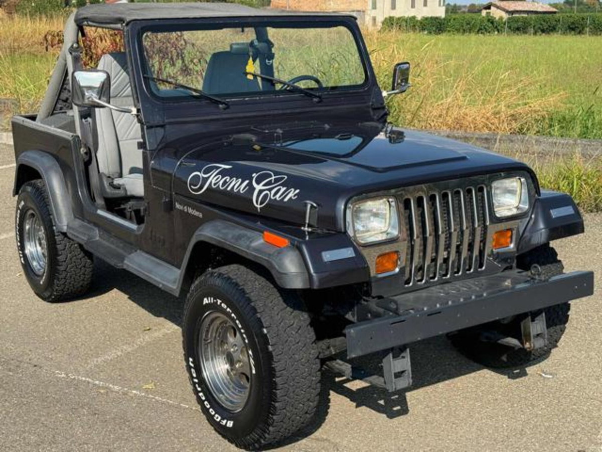 Jeep Wrangler 4.0 cat Connection (12)
