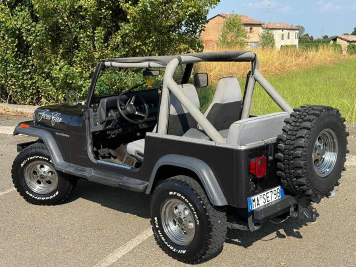 Jeep Wrangler 4.0 cat Connection (13)