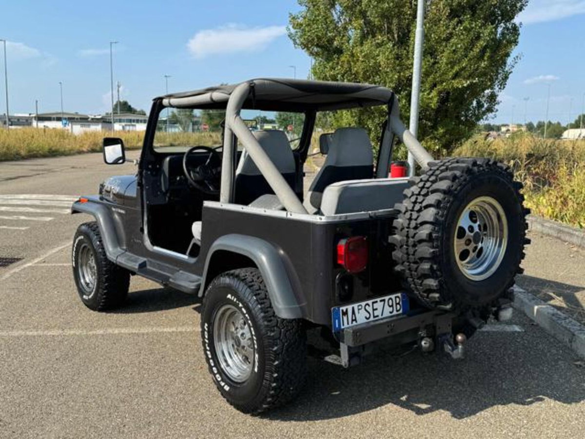 Jeep Wrangler 4.0 cat Connection (14)