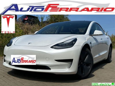 Tesla Model 3 Model 3 Standard RWD Plus  usata