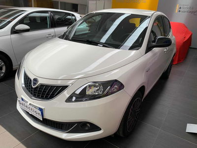 Lancia Ypsilon 1.0 FireFly 5 porte S&S Hybrid Ecochic Silver  usata