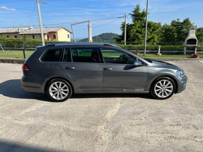 Volkswagen Golf Variant 1.6 TDI 115 CV DSG Executive BlueMotion Tech. (5)